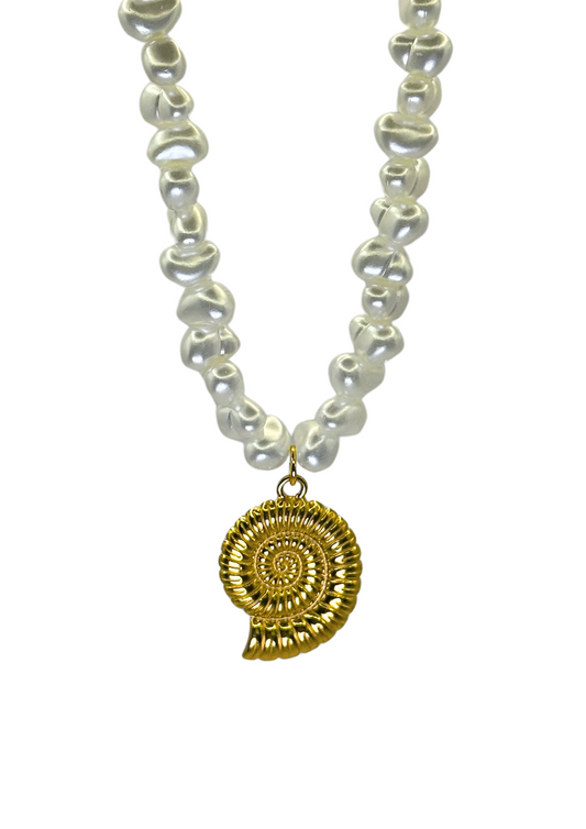 COLLAR GORGONIA