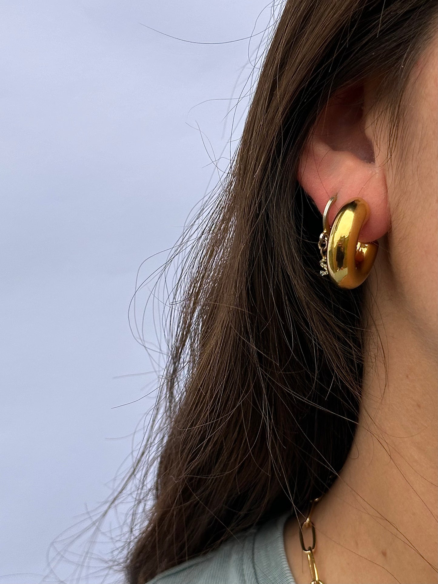 AROS CATALINA