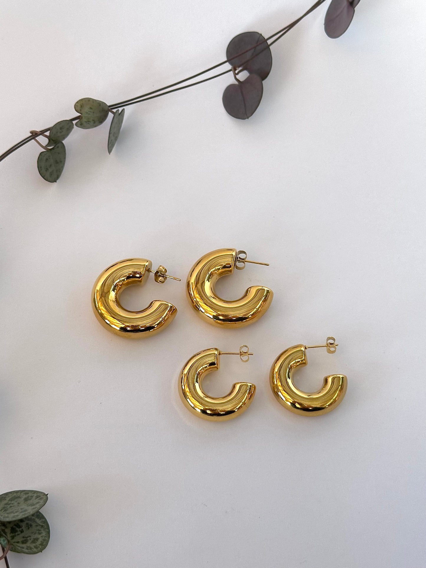 AROS CATALINA