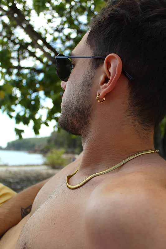 PETIT HOOPS
