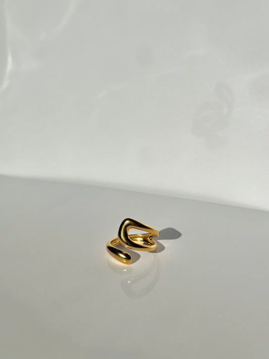 ANILLO CURV